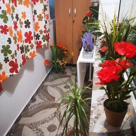 Zen House Apartment Bucharest